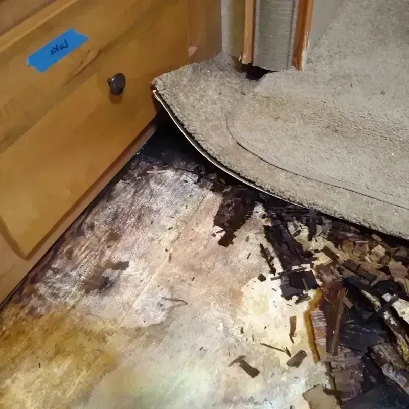 Best Wood Floor Water Damage Service in New Sharon, ME